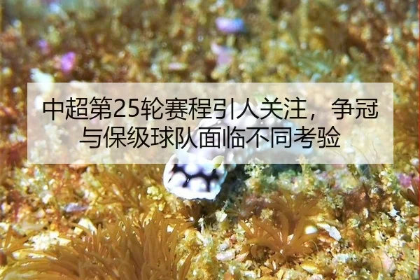 中超第25轮赛程引人关注，争冠与保级球队面临不同考验